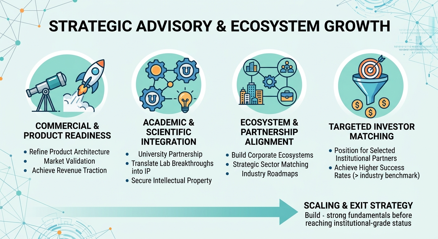Strategic Advisory Beyond Traditional Venture Capital for Scale-Ups and Research Spin-Outs Switzerland
